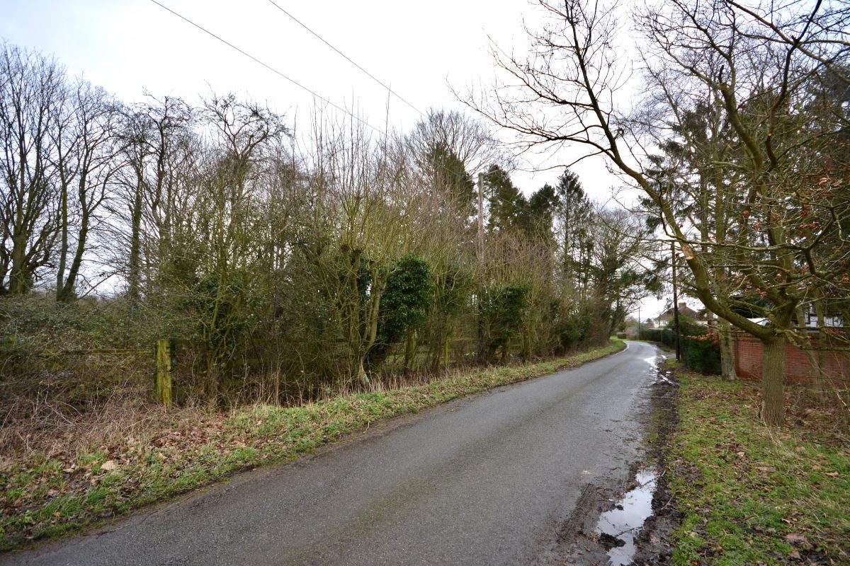 Cottage Wood, land on the north-west side of, Rede Road, Whepstead lot image - 1