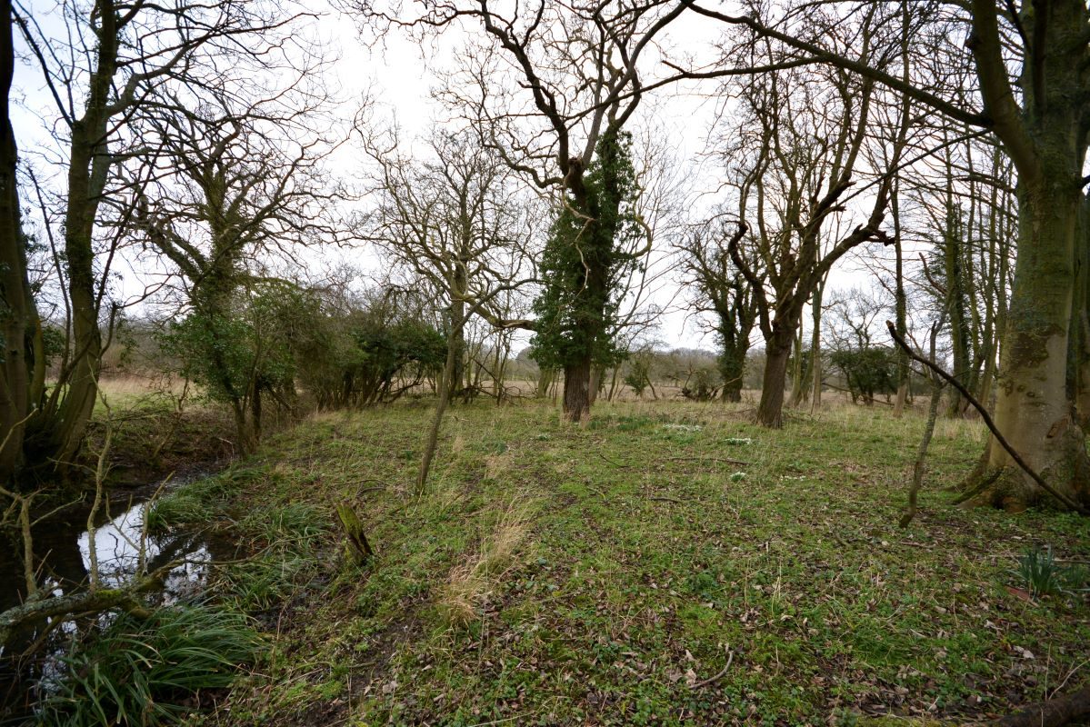Cottage Wood, land on the north-west side of, Rede Road, Whepstead lot image - 2