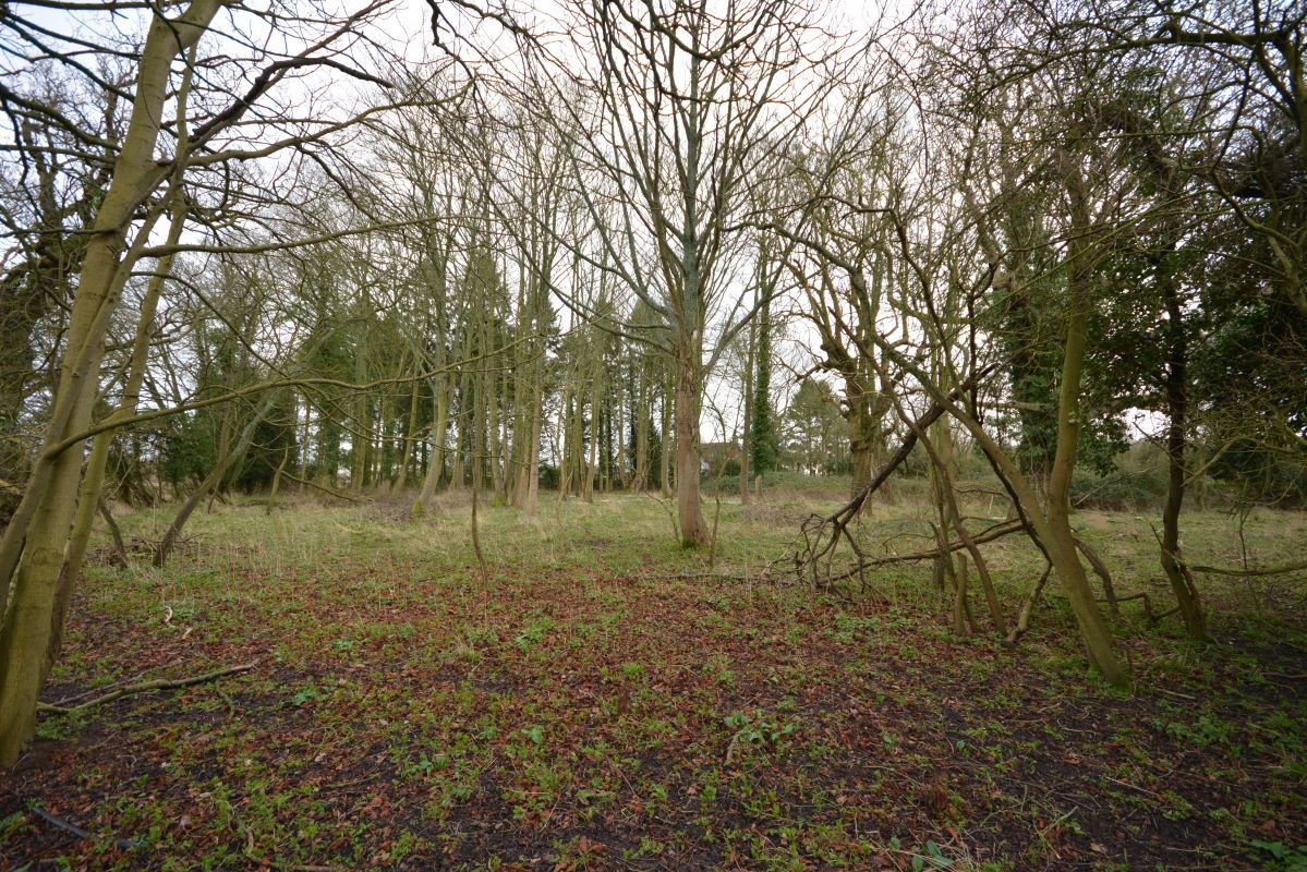 Cottage Wood, land on the north-west side of, Rede Road, Whepstead lot image - 5