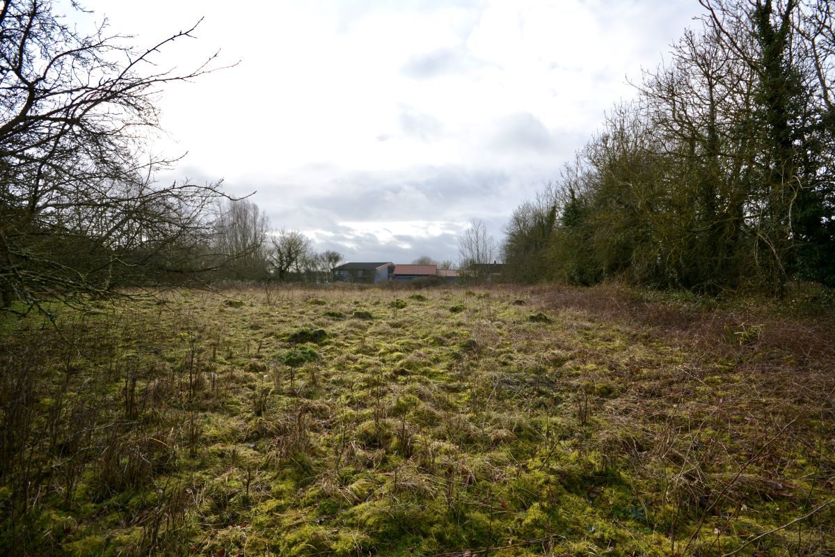 Land on the east side of, Rede Road, Whepstead lot image - 3