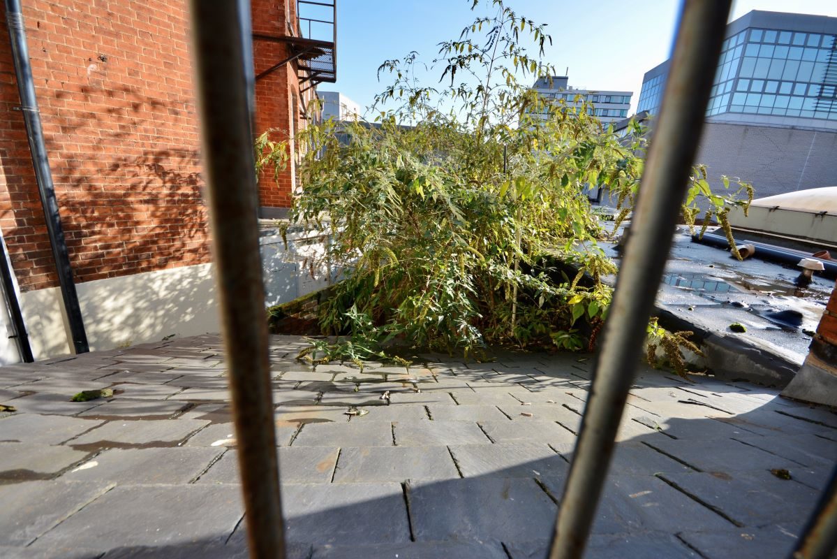 10 Northgate Street, Ipswich lot image - 8