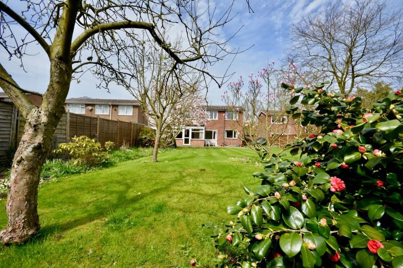 17 Freeman Avenue, Henley lot image - 11