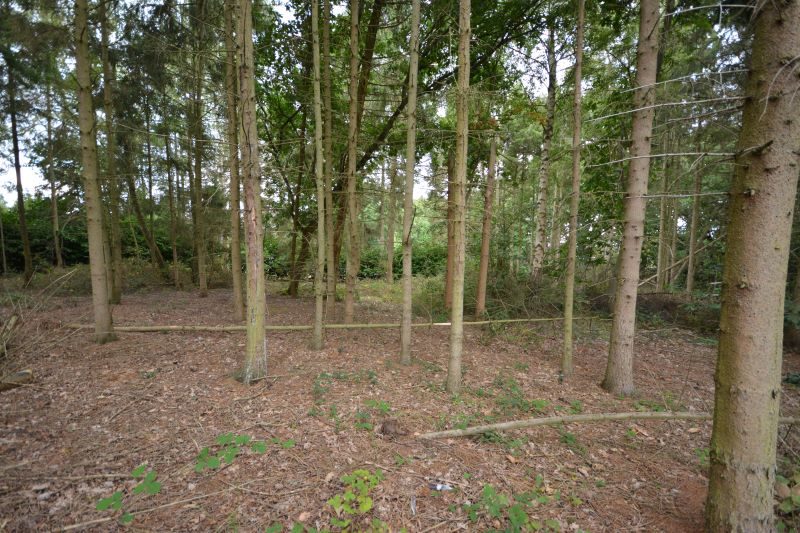 Land on the North side of, Martlesham Road, Woodbridge lot image - 1