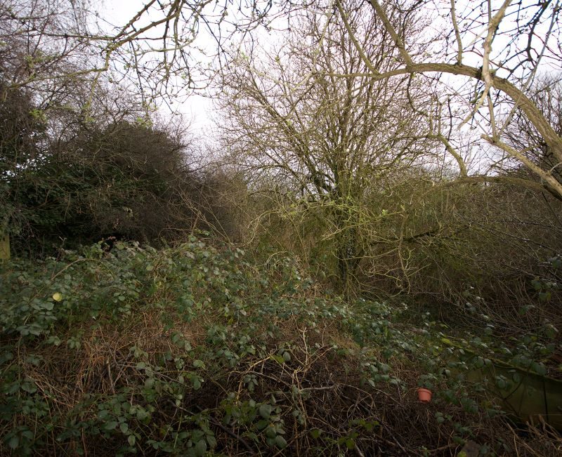 Land to the South East of Camwood Gardens, Ipswich lot image - 0