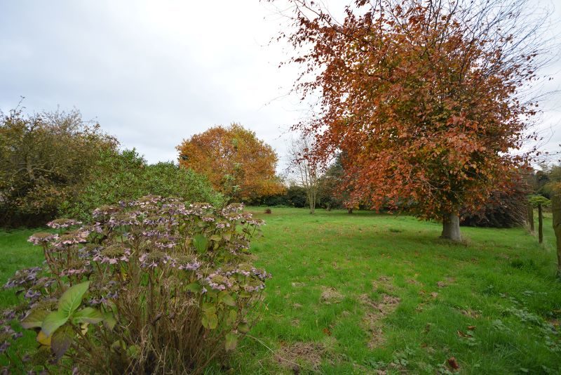 Wayside, Grove Hill, Ipswich lot image - 7