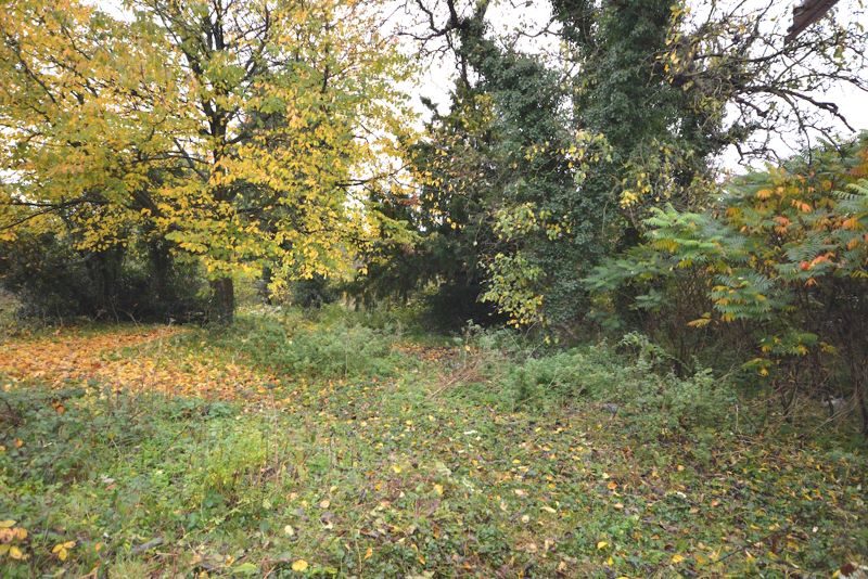 Bambridge Hall, Further Street, Sudbury lot image - 12