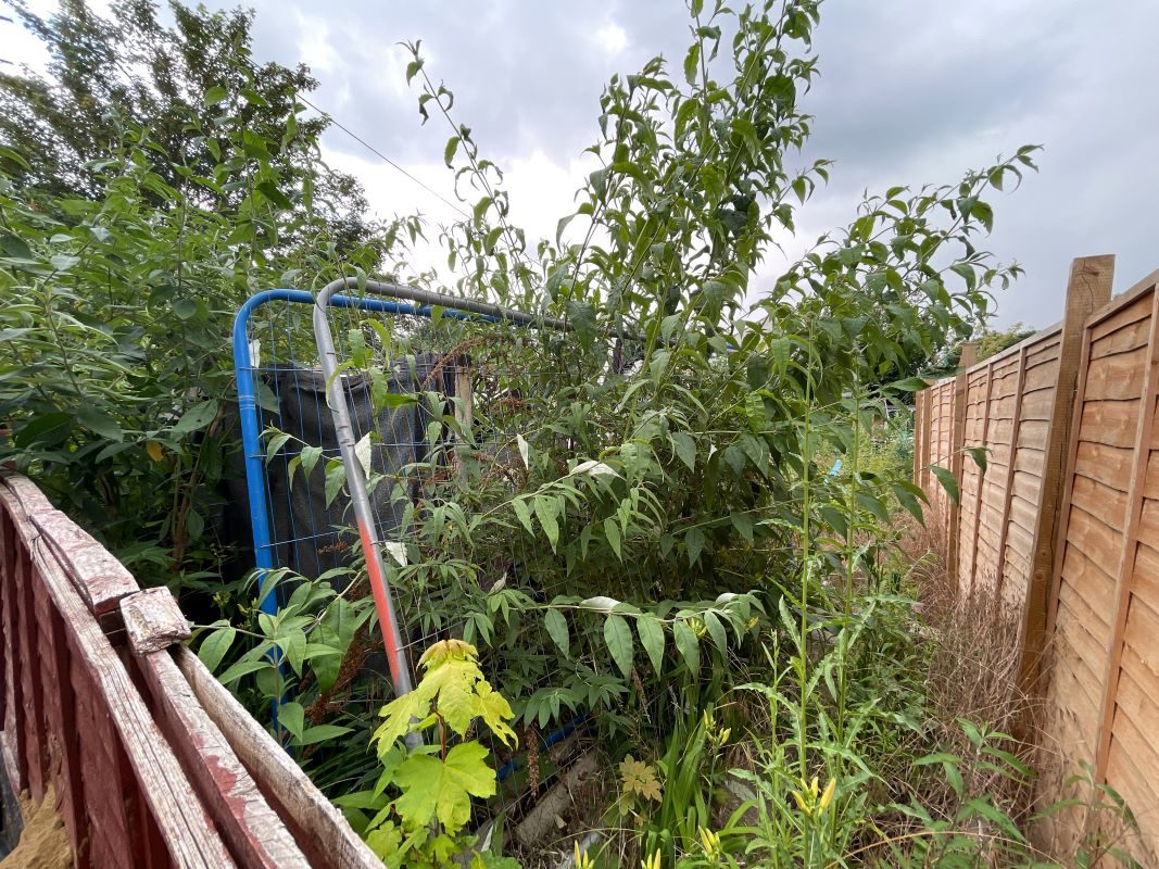 Building Plot adjacent to 8 Little Croft Street, Ipswich lot image - 8