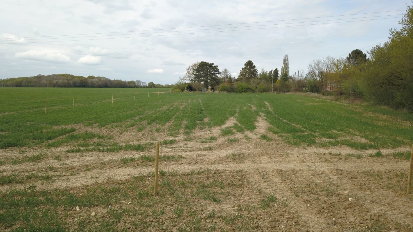 Land at, Potash Lane, Polstead, Colchester, Essex, CO6 5DJ lot image - 2
