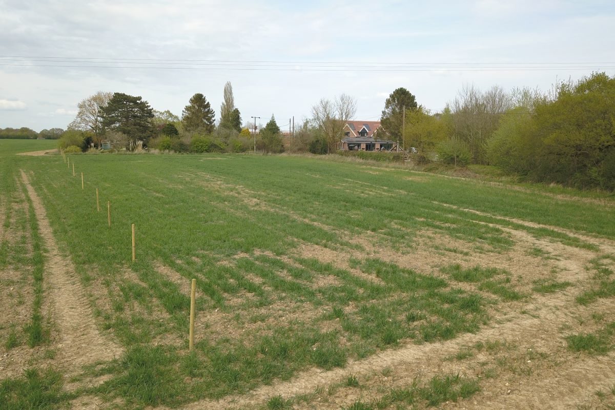 Land at, Potash Lane, Polstead, Colchester, Essex, CO6 5DJ lot image - 3