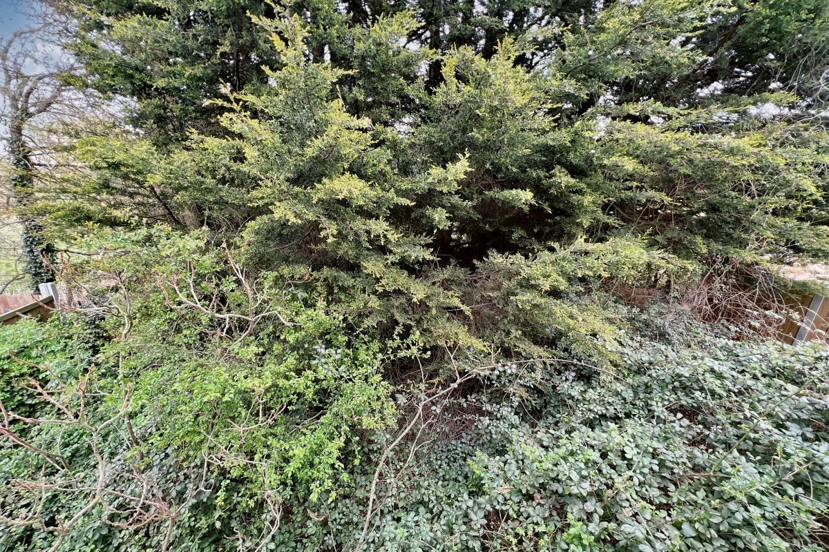 6 Jack Hatch Way, Wivenhoe, Colchester, Essex, CO7 9SH lot image - 11