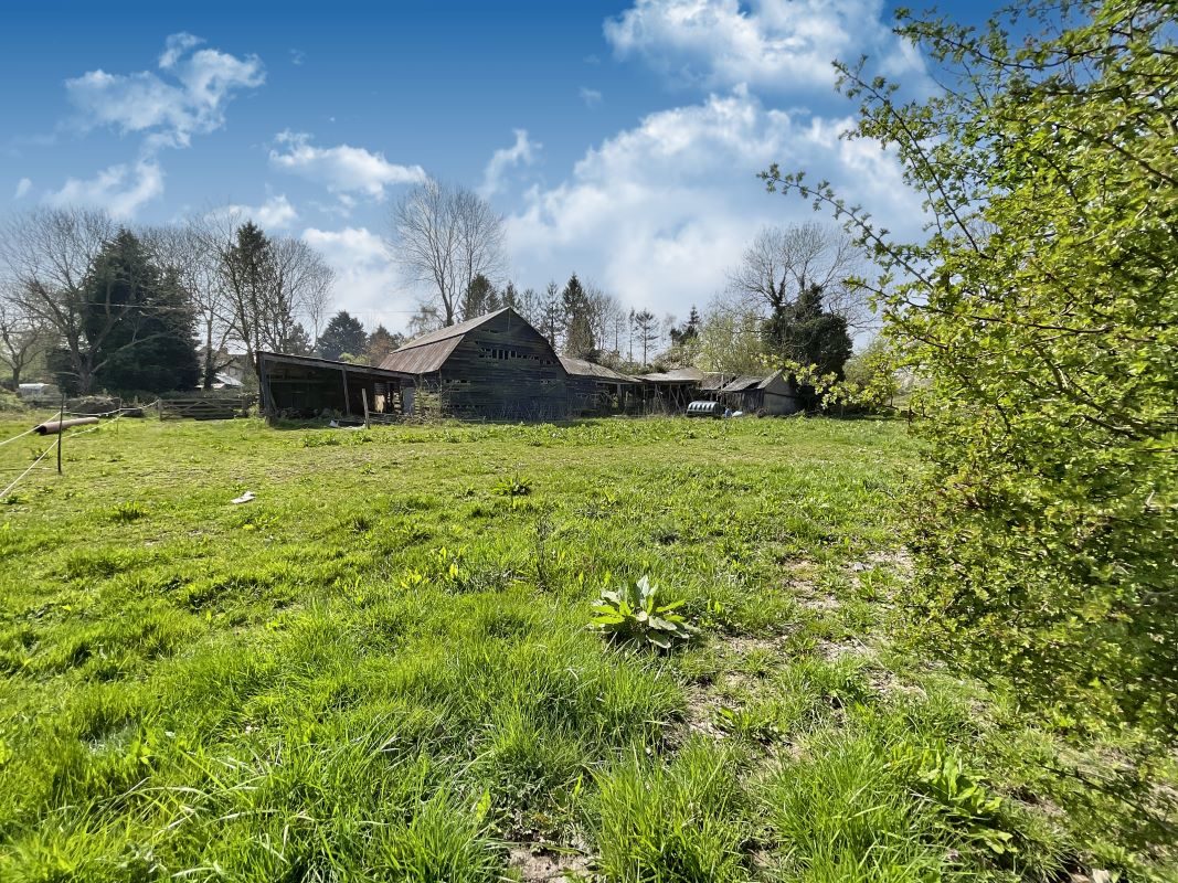 Butts Green Barn, Butts Green, Clavering, Saffron Walden, Essex, CB11 4RT lot image - 3