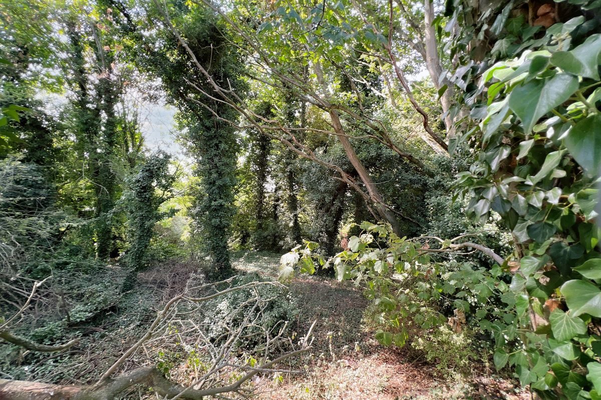 1 Water Works Cottage, Bodmin Close, Kesgrave, Ipswich, Suffolk, IP5 1AX lot image - 22