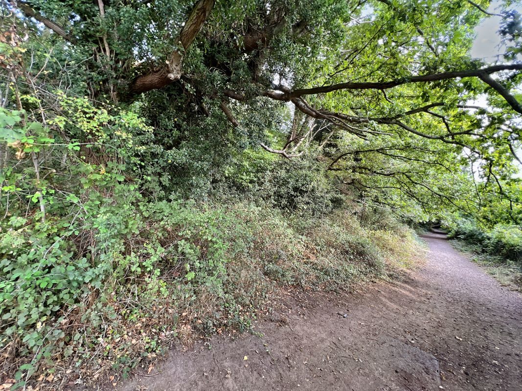 Land Adjacent to, 1 Water Works Cottage Bodmin Close, Kesgrave, Ipswich, Suffolk, IP5 1AX lot image - 4
