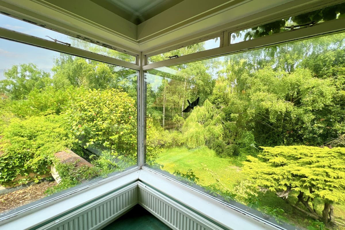 Dormy Pool, 167 Saxmundham Road, Aldeburgh, Suffolk, IP15 5PE lot image - 39