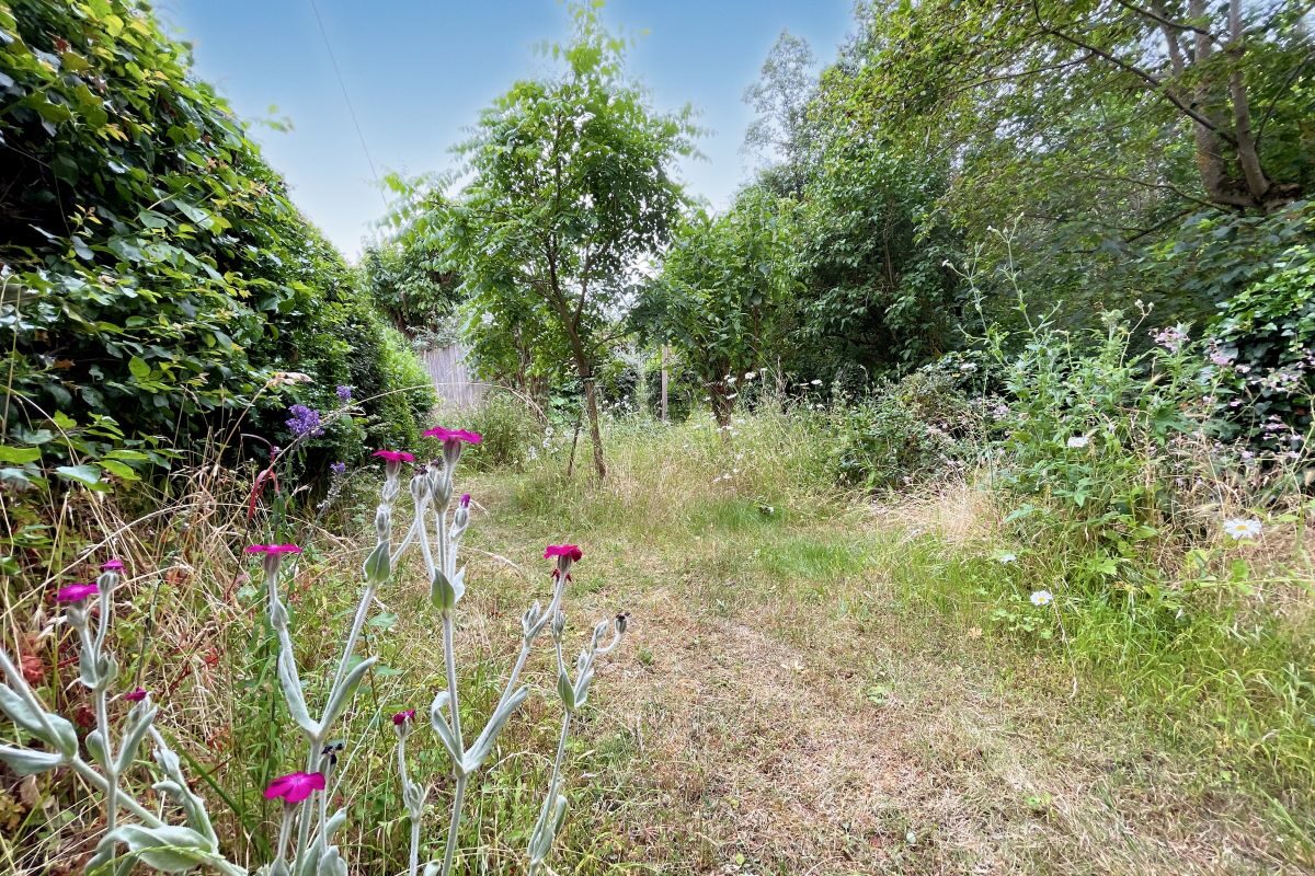 31 The Street, Wissett, Halesworth, Suffolk, IP19 0JG lot image - 14