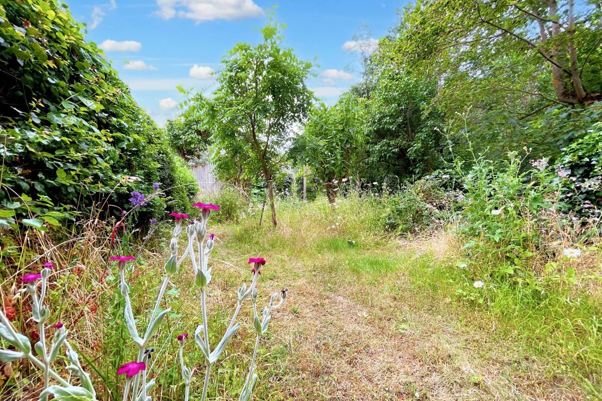 31 The Street, Wissett, Halesworth, Suffolk, IP19 0JG lot image - 1