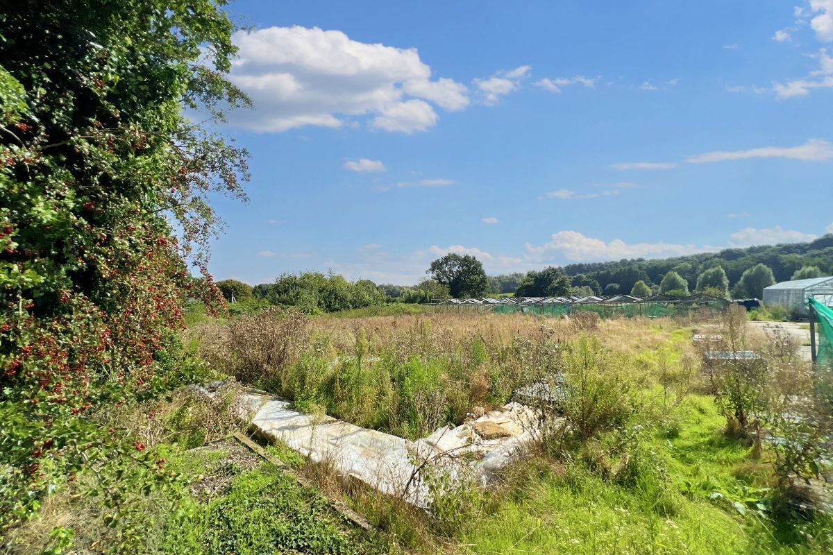 Land at 47a Jackson Road, Newbourne, Woodbridge, Suffolk, IP12 4NR lot image - 12