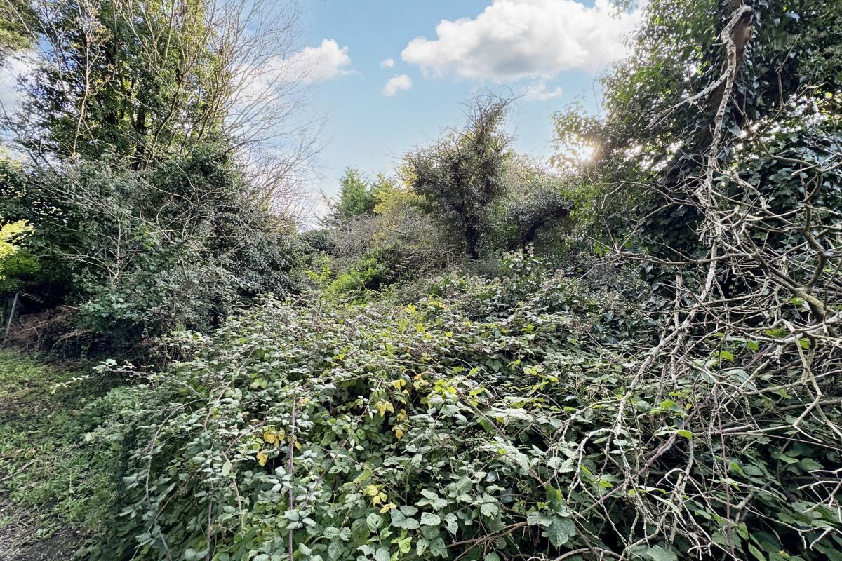 Land at 22-24 Stoney Road, Grundisburgh, Woodbridge, Suffolk, IP13 6RD lot image - 6