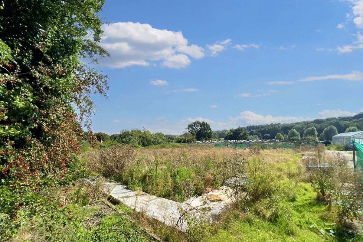 Land at 47a Jackson Road, Newbourne, Woodbridge, Suffolk, IP12 4NR lot image - 9