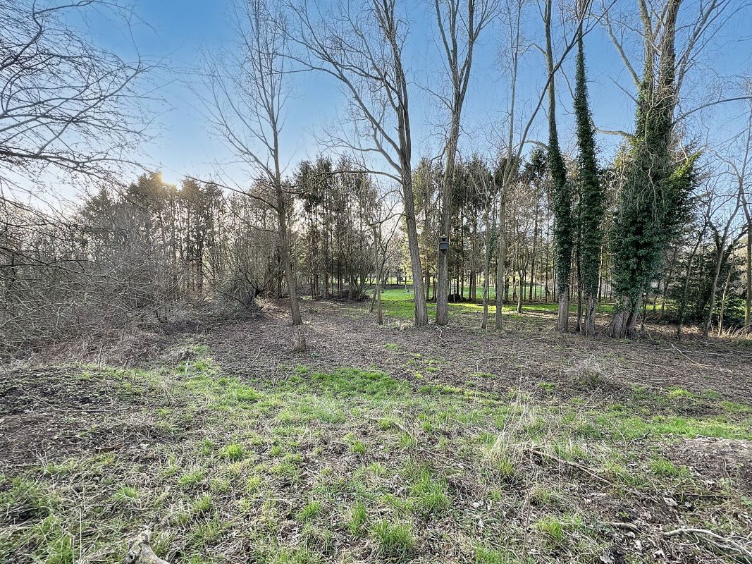 Land East side of Vicarage Lane, Bramford, Ipswich, Suffolk, IP8 4AE lot image - 9