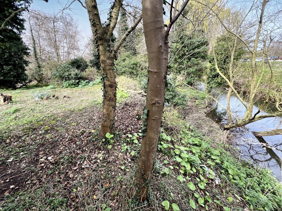 Land adjacent to Bosmere Mill, Coddenham Road, Needham Market, Suffolk, IP6 8NU lot image - 10