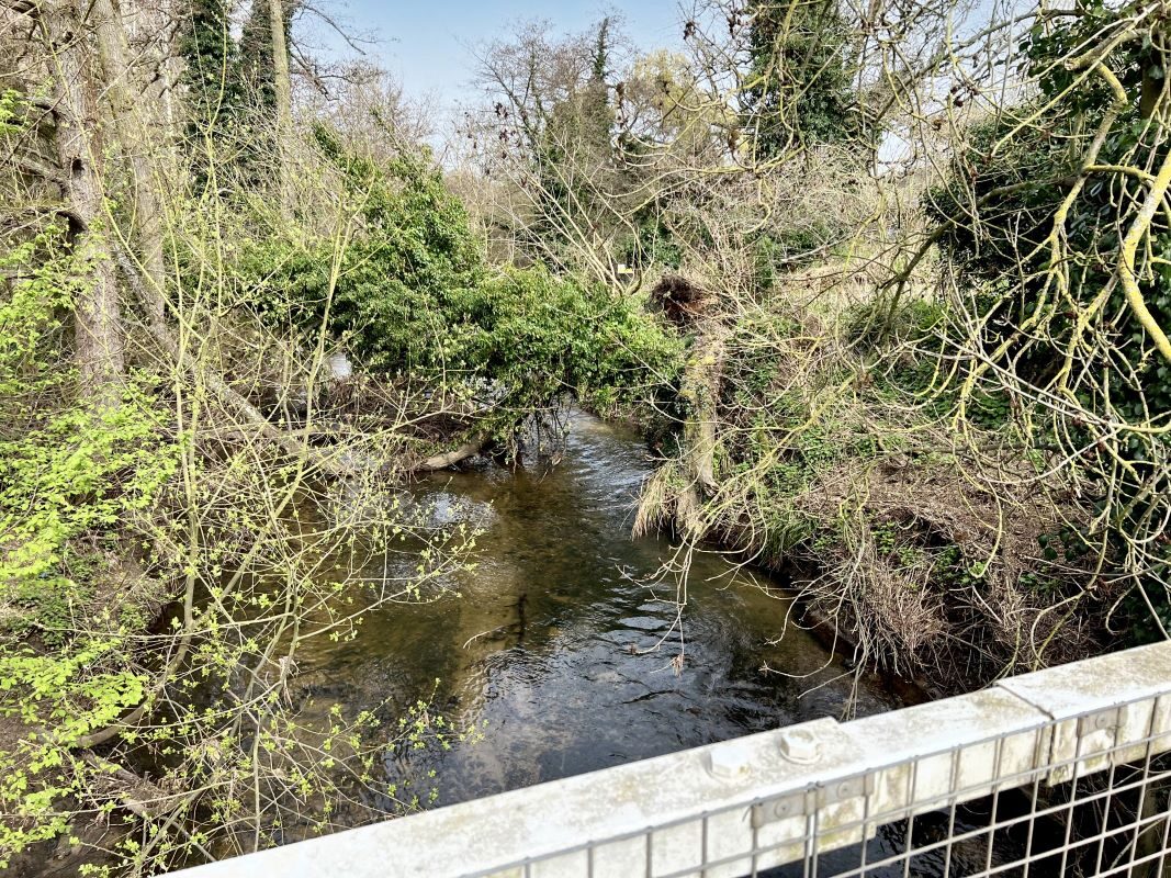 Land adjacent to Bosmere Mill, Coddenham Road, Needham Market, Suffolk, IP6 8NU lot image - 14