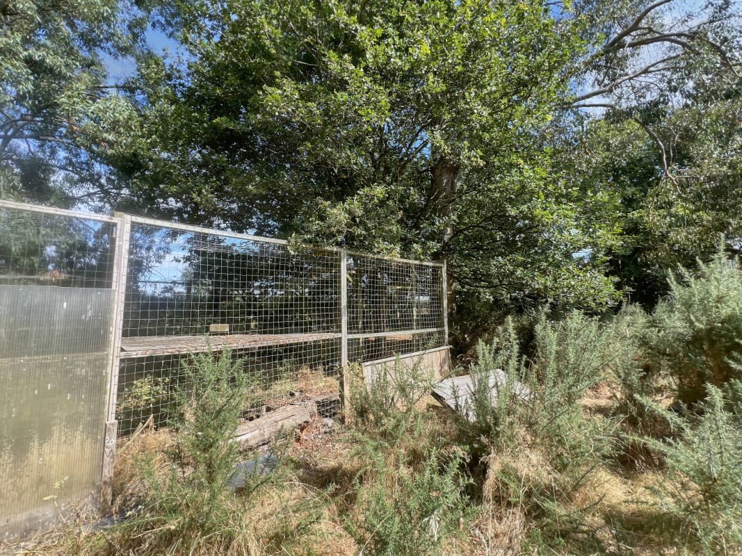 112 Main Road, Kesgrave, Ipswich, Suffolk, IP5 1BL lot image - 4