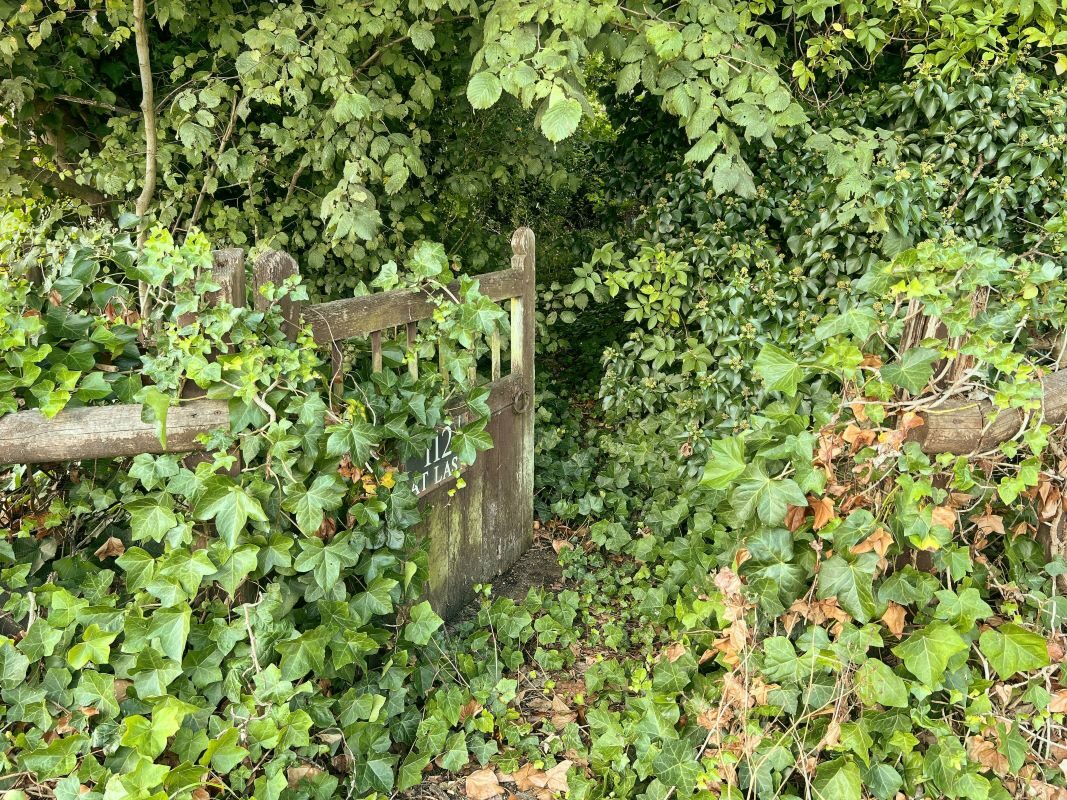 112 Main Road, Kesgrave, Ipswich, Suffolk, IP5 1BL lot image - 9