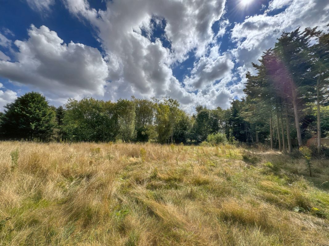 Land East of, Vicarage Lane, Bramford, Suffolk, IP8 4AE lot image - 4