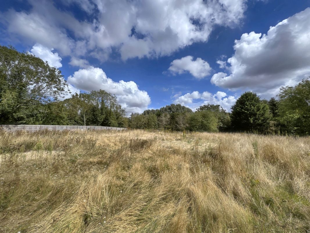 Land East of, Vicarage Lane, Bramford, Suffolk, IP8 4AE lot image - 5