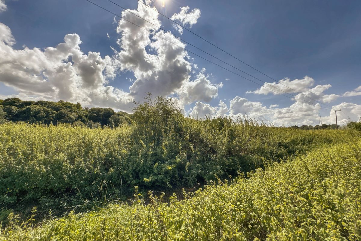 Land East of, Vicarage Lane, Bramford, Suffolk, IP8 4AE lot image - 6
