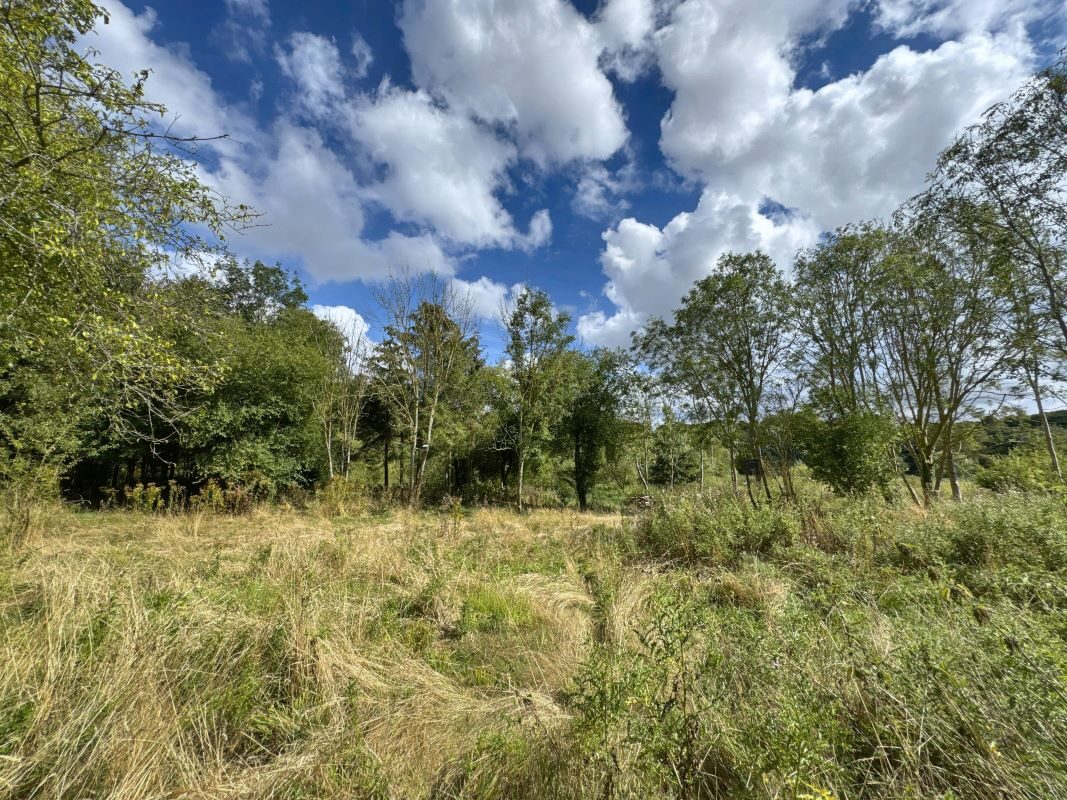 Land East of, Vicarage Lane, Bramford, Suffolk, IP8 4AE lot image - 7