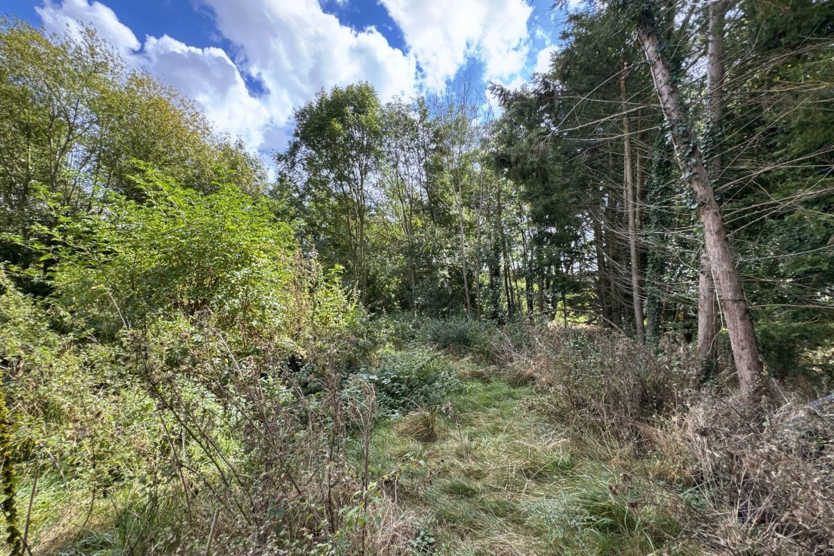 Land East of, Vicarage Lane, Bramford, Suffolk, IP8 4AE lot image - 8