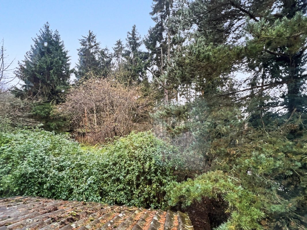 Cantium, Church Lane, Semer, Ipswich, Suffolk, IP7 6JD lot image - 5