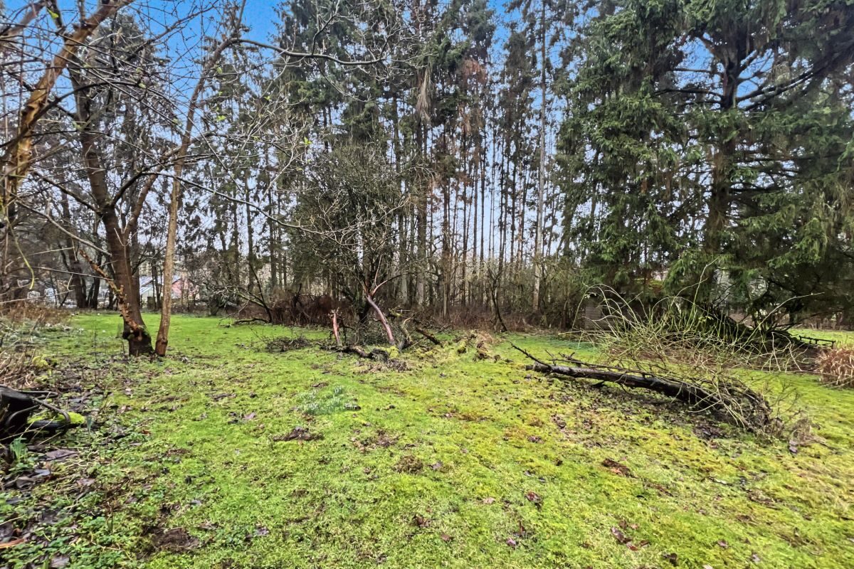 Cantium, Church Lane, Semer, Ipswich, Suffolk, IP7 6JD lot image - 15