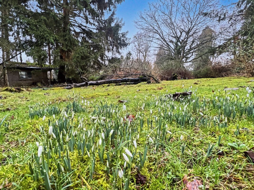 Cantium, Church Lane, Semer, Ipswich, Suffolk, IP7 6JD lot image - 16