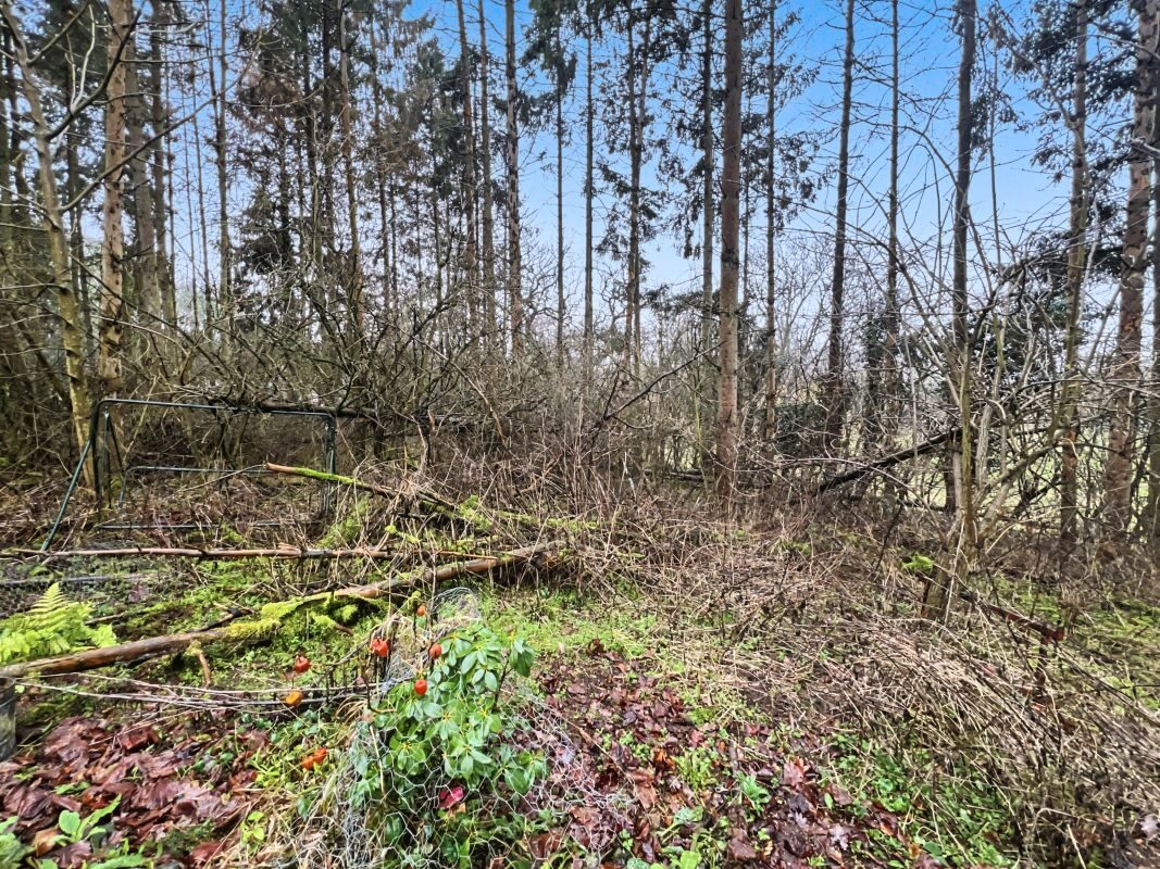 Cantium, Church Lane, Semer, Ipswich, Suffolk, IP7 6JD lot image - 18