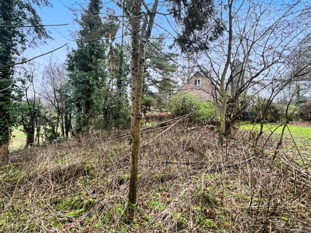 Cantium, Church Lane, Semer, Ipswich, Suffolk, IP7 6JD lot image - 19