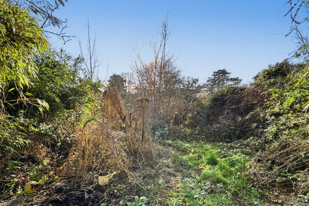 372 Woodbridge Road, Ipswich, Suffolk, IP4 4EU lot image - 8