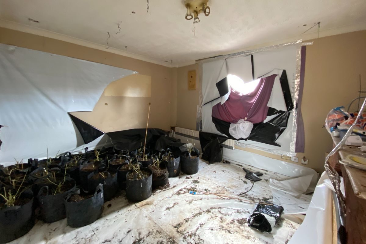 1A Gibbons Street, Ipswich lot image - 1