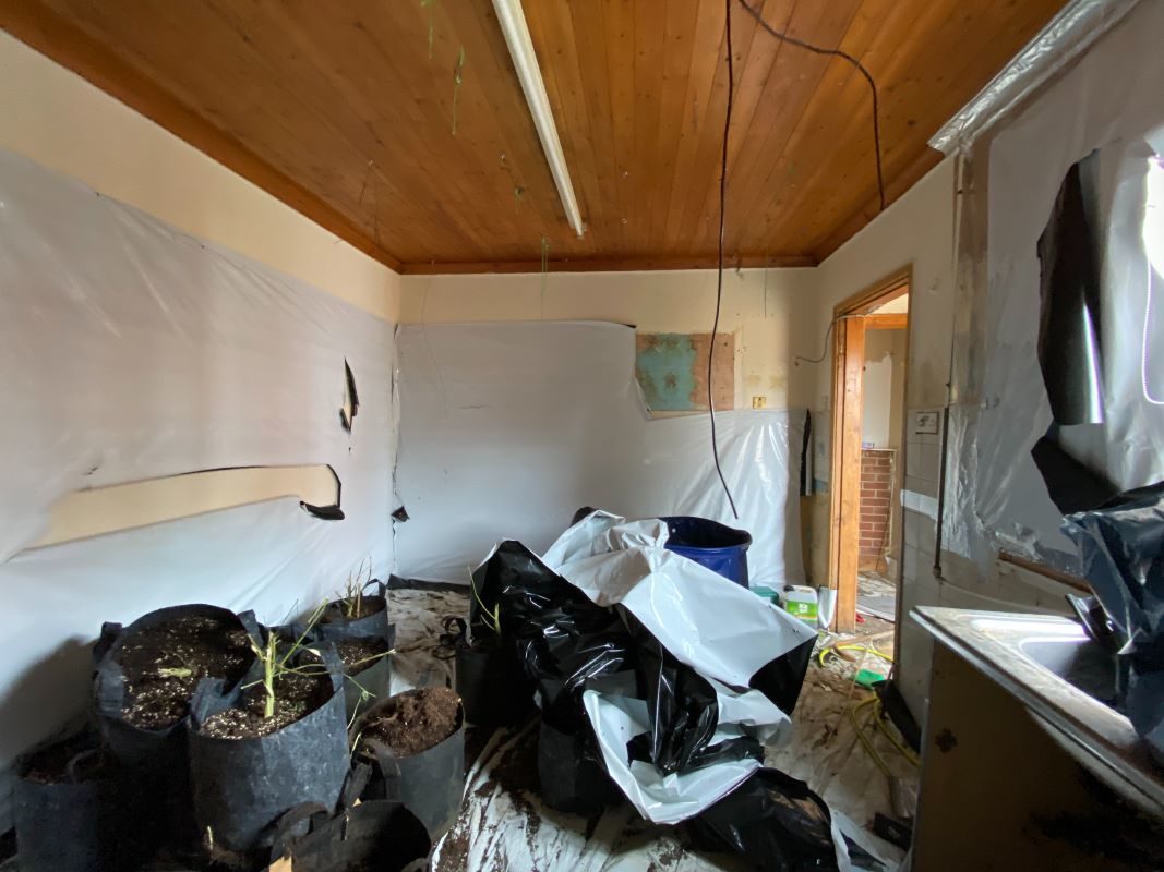 1A Gibbons Street, Ipswich lot image - 5