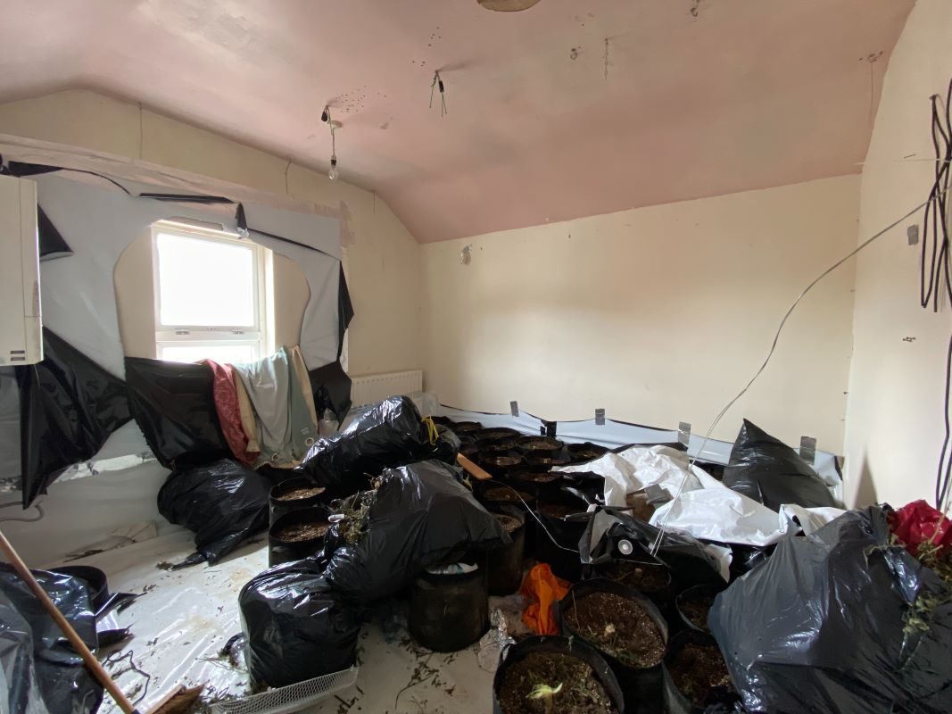 1A Gibbons Street, Ipswich lot image - 12